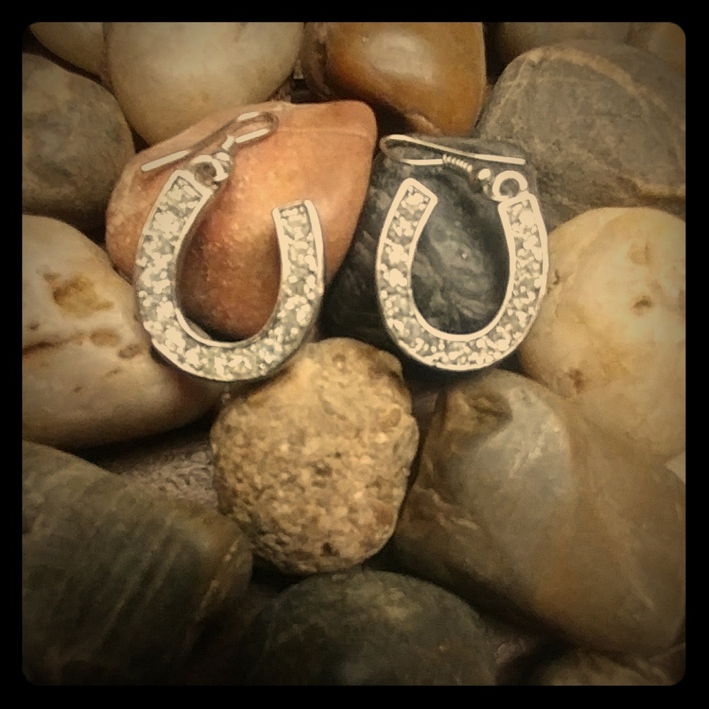 Horseshoe Dangle Earrings